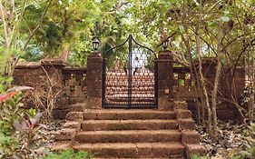 Botanique Goa